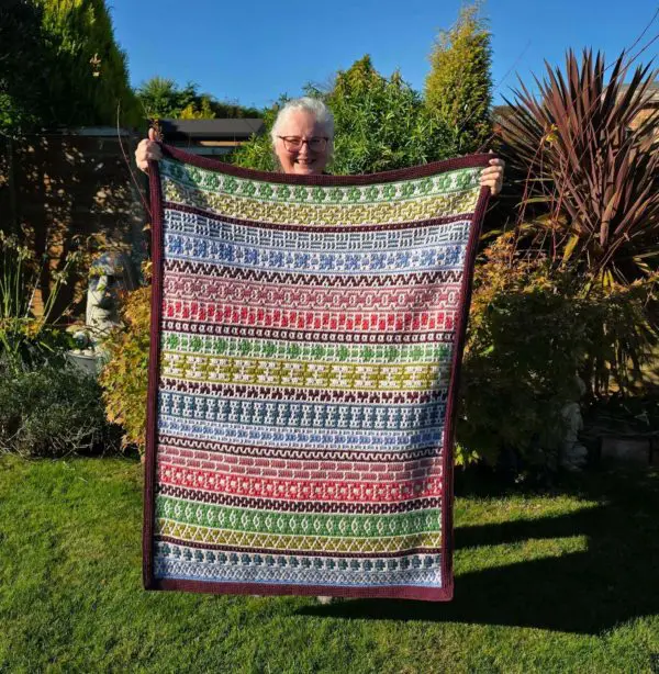 Rosina Plane Adventures in Overlay Mosaic MAL Modern Yarn Pack