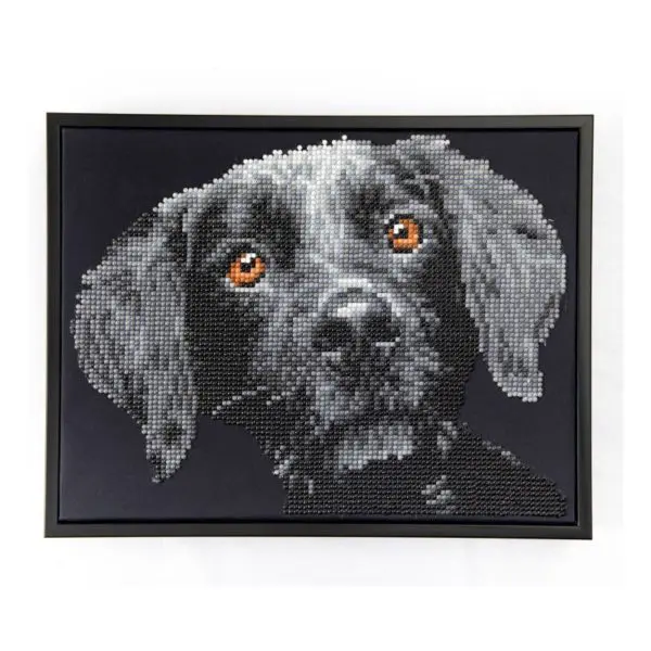 Diamond Dotz animal art