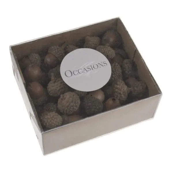 Occasions Acorns: 50 Pieces - Image 2