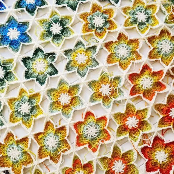 Emily Littlefair Resilience in Bloom Yarn Pack