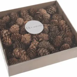 Occasions Pinecones: 100 Pieces