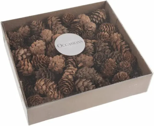 Occasions Pinecones: 100 Pieces