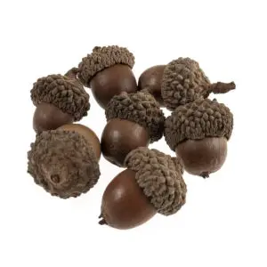 Occasions Acorns: 50 Pieces