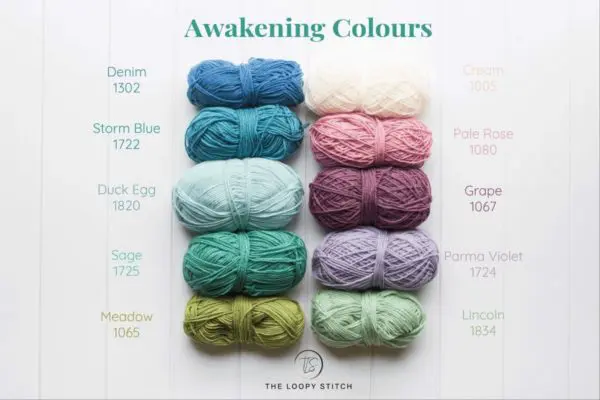 Emily Littlefair The Loopy Stitch Dawn of Awakening