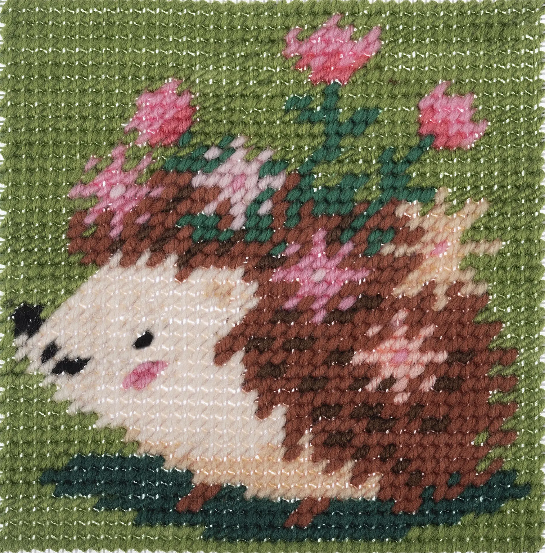 Trimits Half Stitch / Tapestry Kit – Hedgehog Design