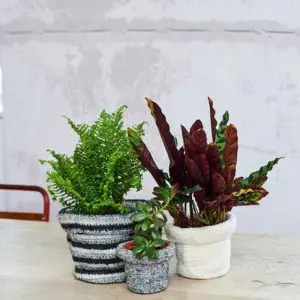 Stylecraft 10293 Crochet Felted Flower Pot Pattern