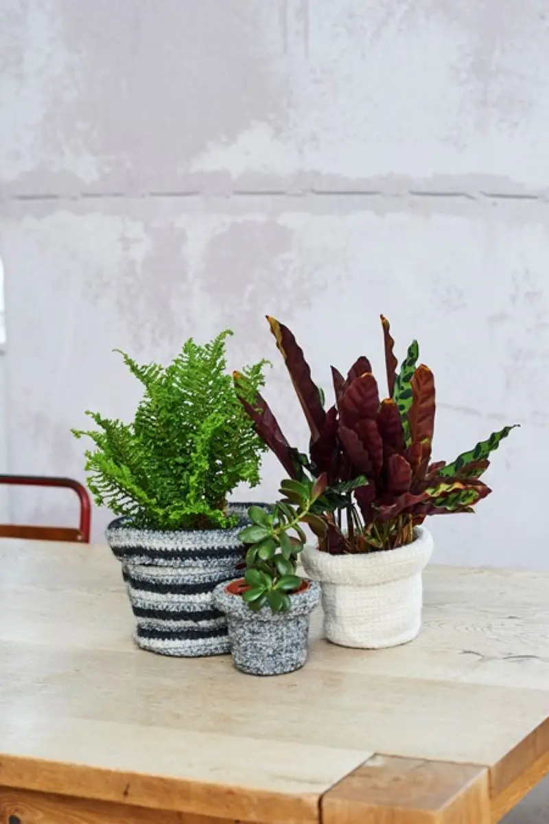 Stylecraft 10293 Crochet Felted Flower Pot Pattern
