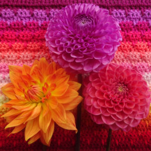 Attic 24 Dahlia CAL Blanket Yarn Kit