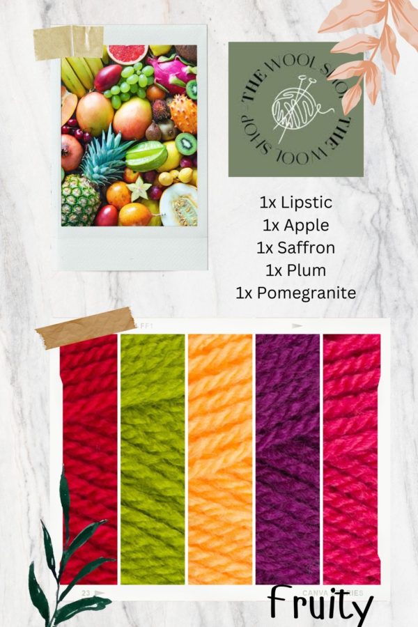 Stylecraft Special DK Fruity Yarn Pack